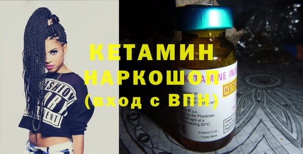 сатива Няндома
