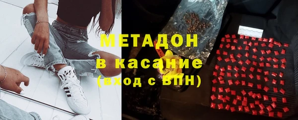 сатива Няндома