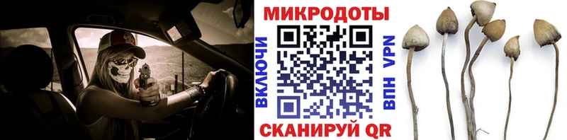 Галлюциногенные грибы Magic Shrooms  Меленки 